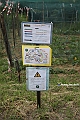 VBS_9489 - A spasso per Tigliole 2025 - Nona edizione
